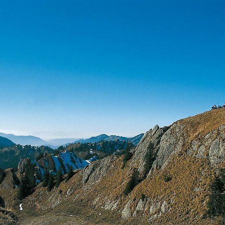 Ferienwohnungen Alpentraum - Freisicht Фишен Экстерьер фото
