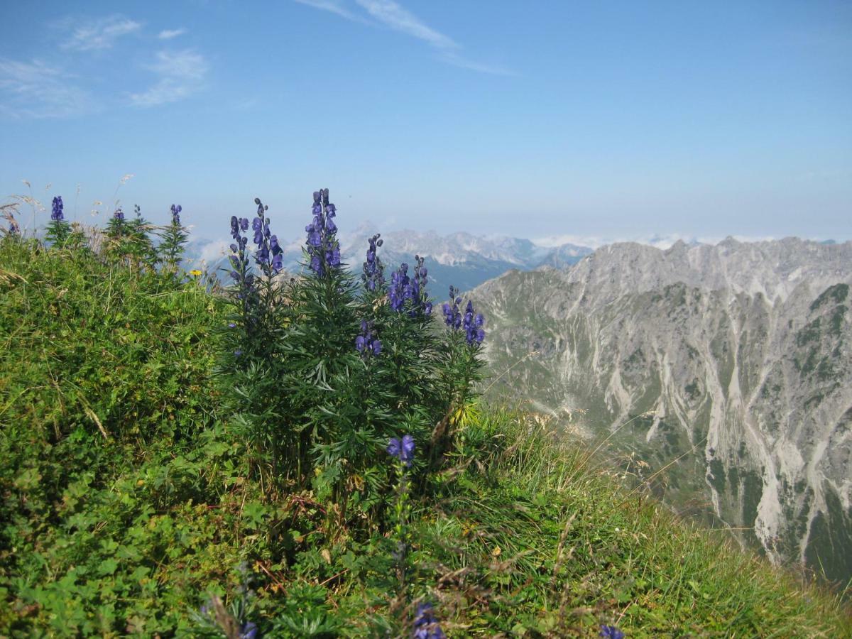 Ferienwohnungen Alpentraum - Freisicht Фишен Экстерьер фото